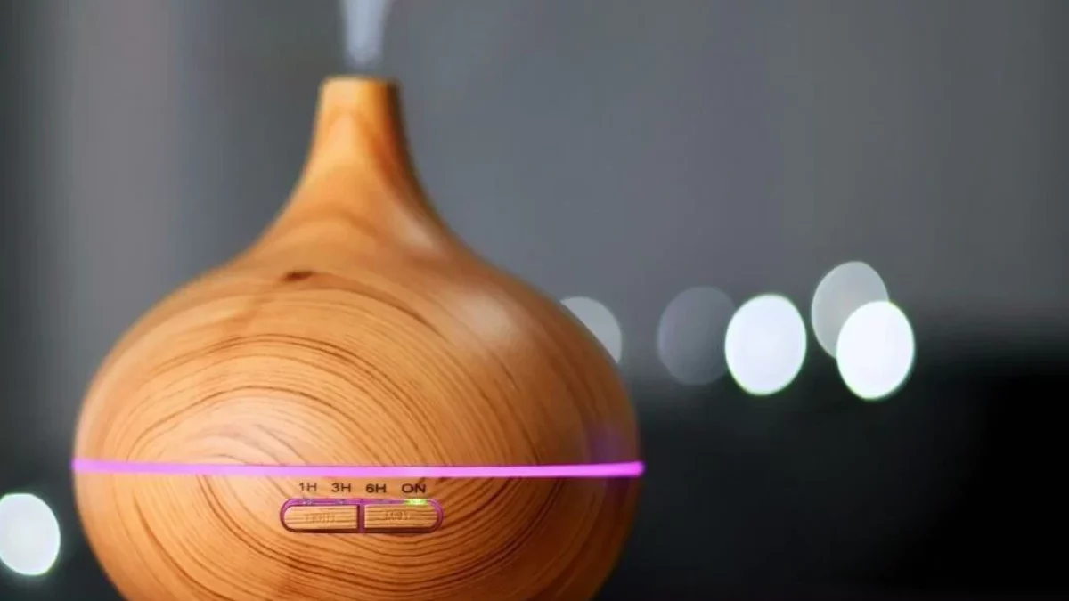 What is a Diffuser? – A Reed Diffuser, A Common Type of Diffuser, and More