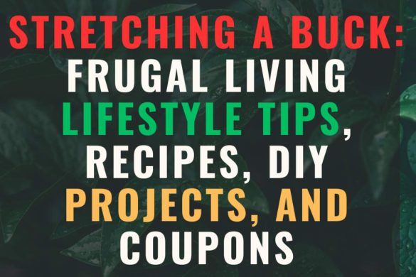 Stretching a Buck Frugal Living Lifestyle Tips Recipes