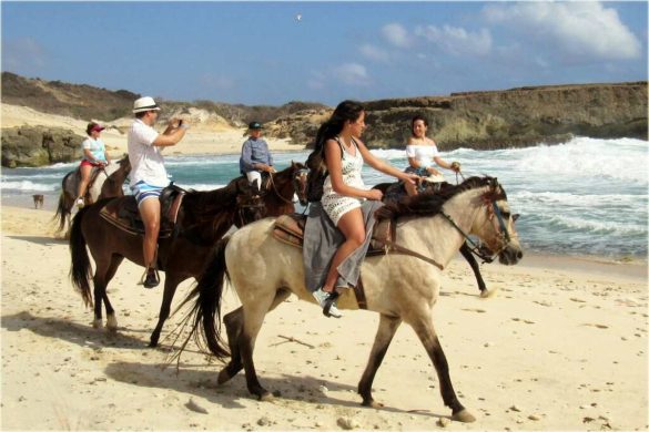 Excursions in Aruba - Beautiful Sight Scene and Tour for 2024
