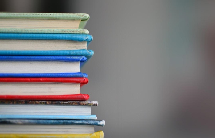 Understanding the Role of a Special Education Specialist