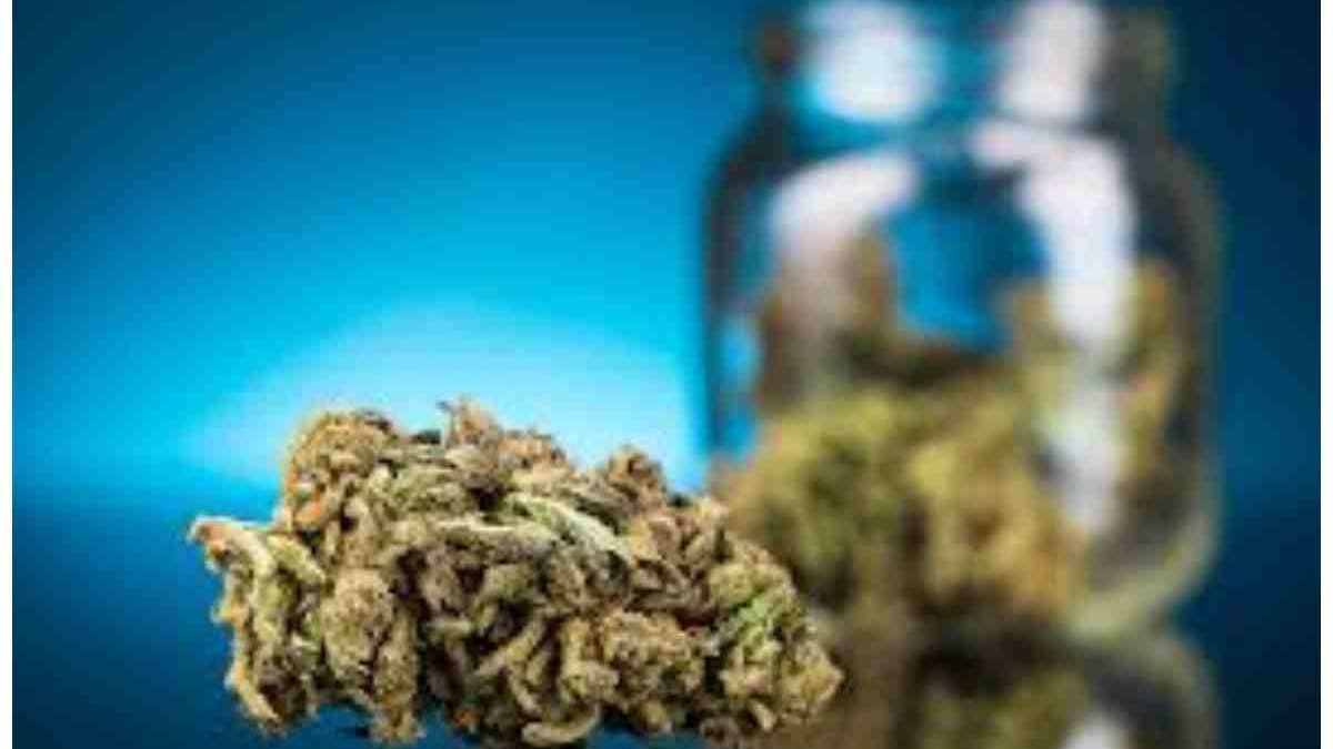 What Are The Potential Benefits of CBD Flower?